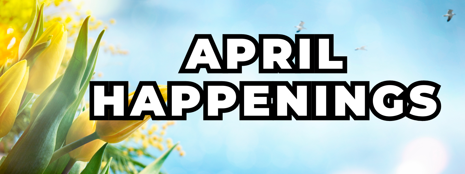 April Happenings