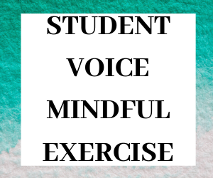 Student Voice Exercise