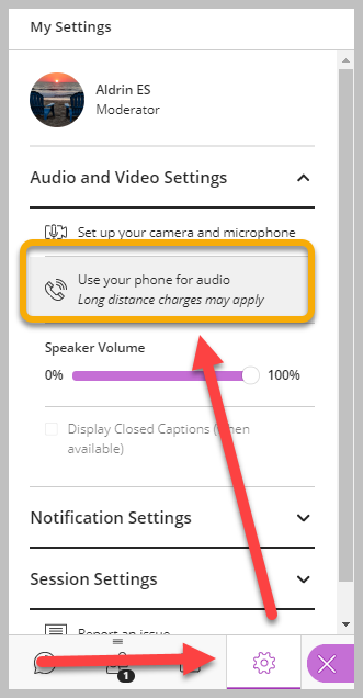 setting for using phone for session audio