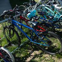 bikes on a rack